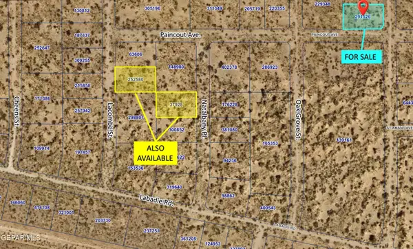 PN-291526 Palmetto Drive, El Paso, TX 79928