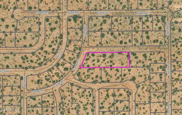 PN333474 Cadbury Drive, Horizon City, TX 79928