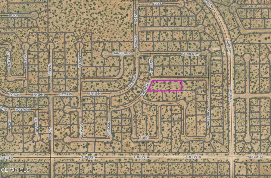 PN333474 Cadbury Drive, Horizon City, TX 79928 - #3