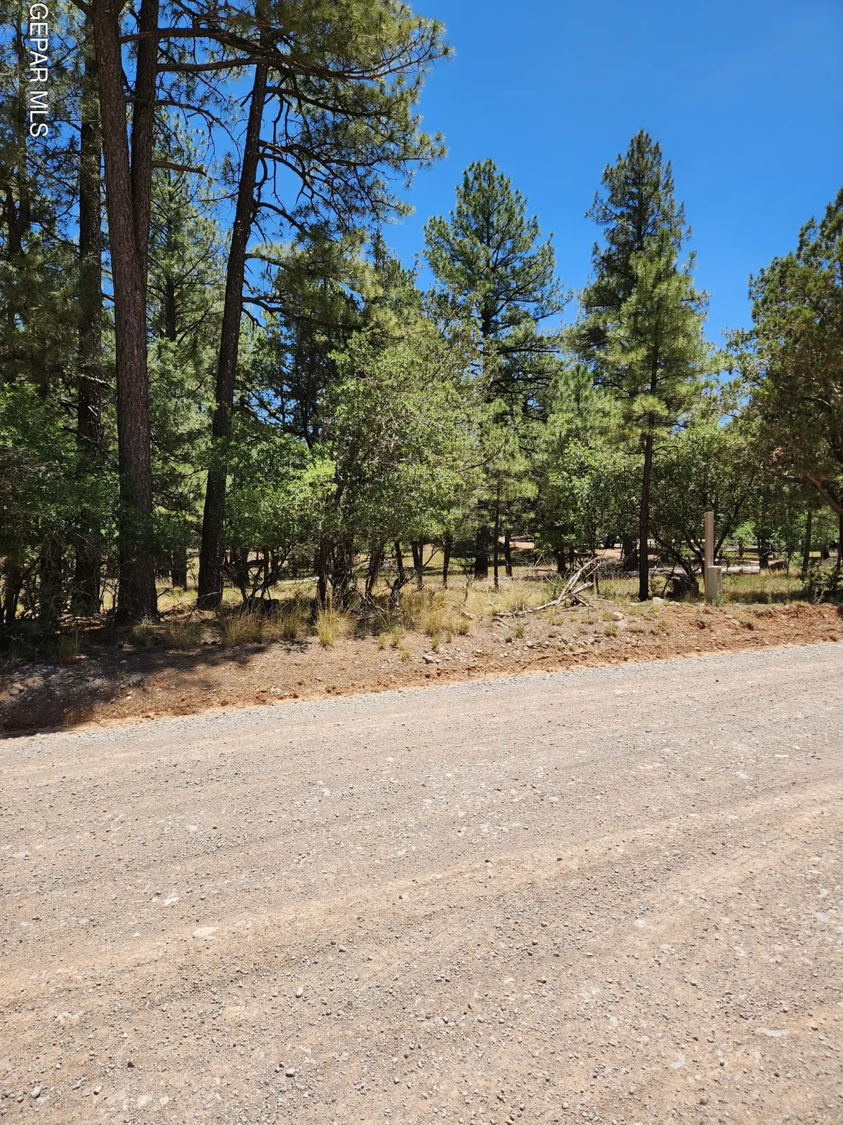 469 Dixwood Drive, Timberon, NM 88350 - #1