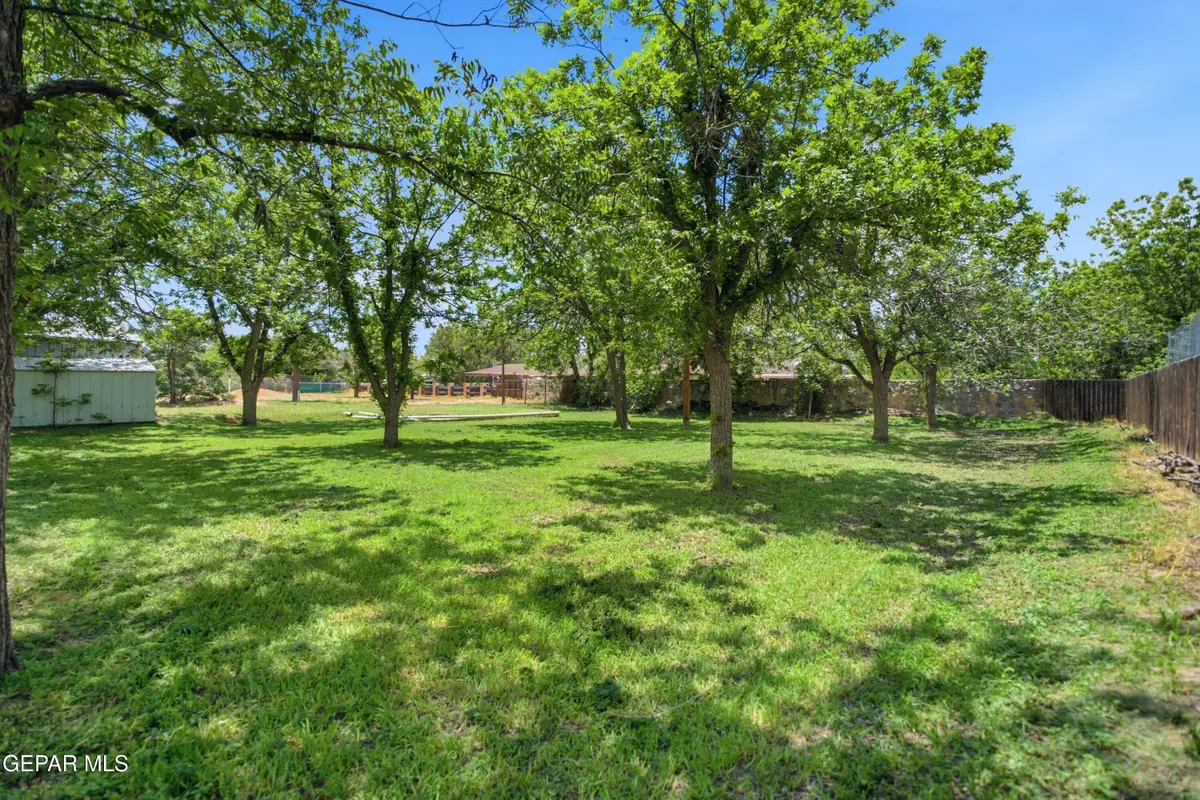 10757 W Burt Road, Socorro, TX 79927 - #1