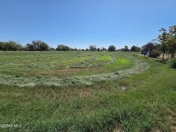 PN-220445 Borrego Road, San Elizario, TX 79849