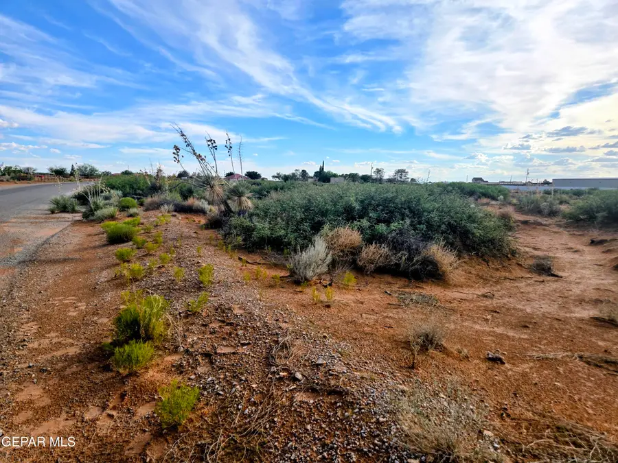 14235 Wild Flower Drive, El Paso, TX 79938 - #2