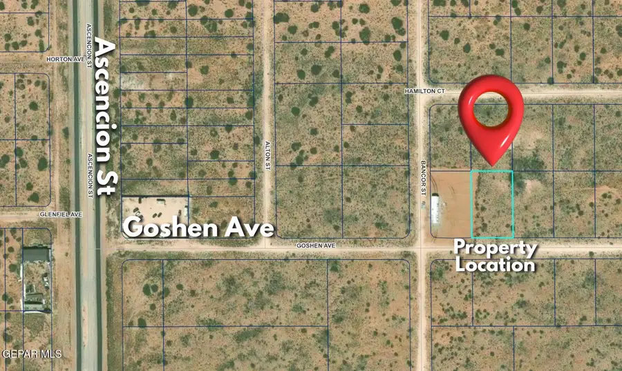 PN-36918 Goshen Avenue, El Paso, TX 79928 - #2