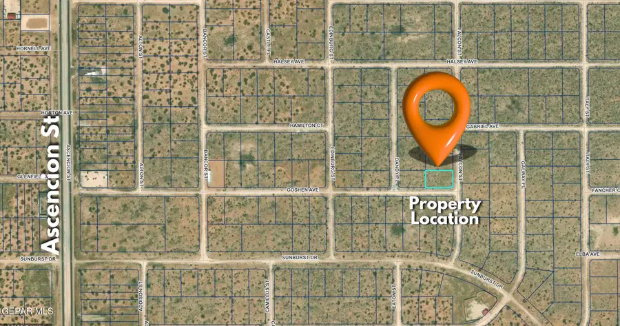 PN-208020 Falcon Street, El Paso, TX 79928 - #3