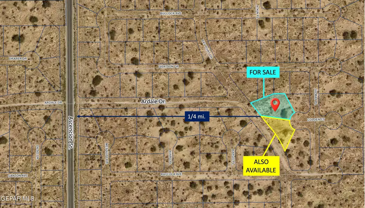 PN-403623 34 Horizon City Estates #43 L6, El Paso, TX 79938 - #1