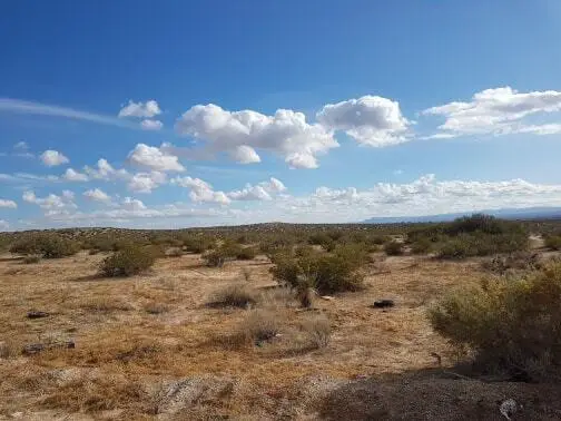 0 Frian, Horizon City, TX 79928 - #3