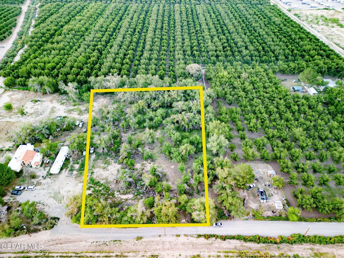 PN-316507 Moore Road, Canutillo, TX 79932 - #1