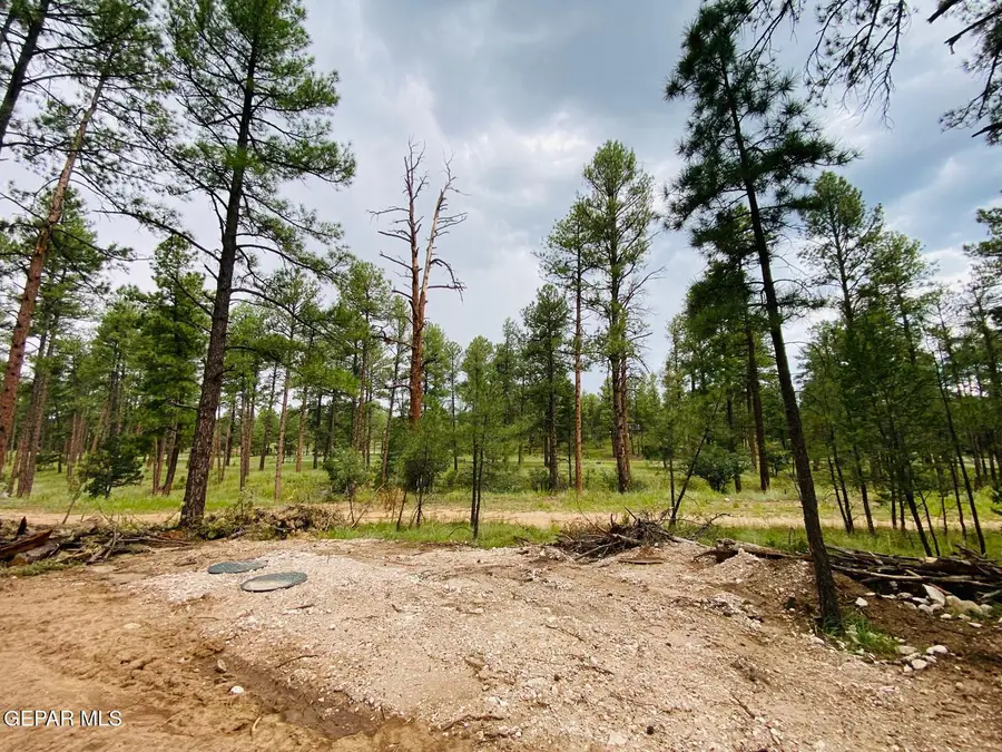 20 Pine Road, Timberon, NM 88350 - #2