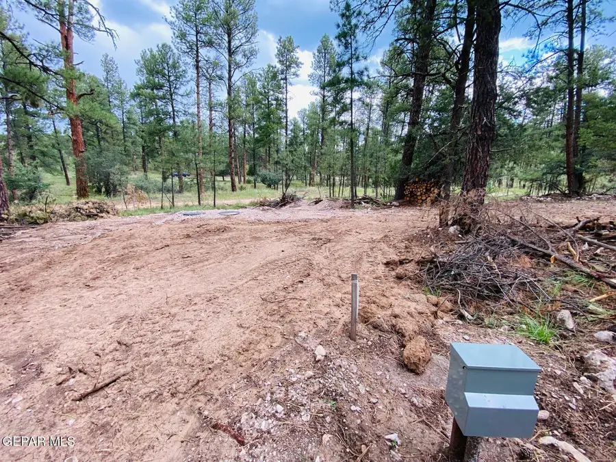 20 Pine Road, Timberon, NM 88350 - #3