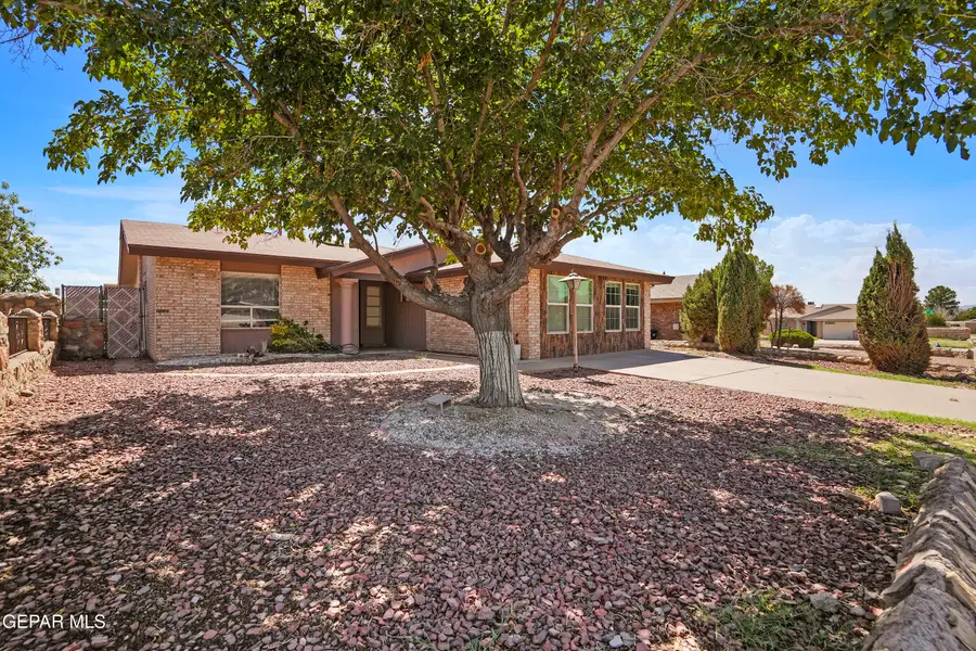 10422 Birthstone Drive, El Paso, TX 79925 - #3