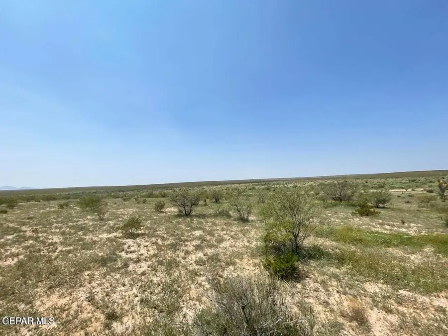 36 SEC 6 Psl Sierra Prieto 66 Lot 7, Sierra Blanca, TX 79851 - #3