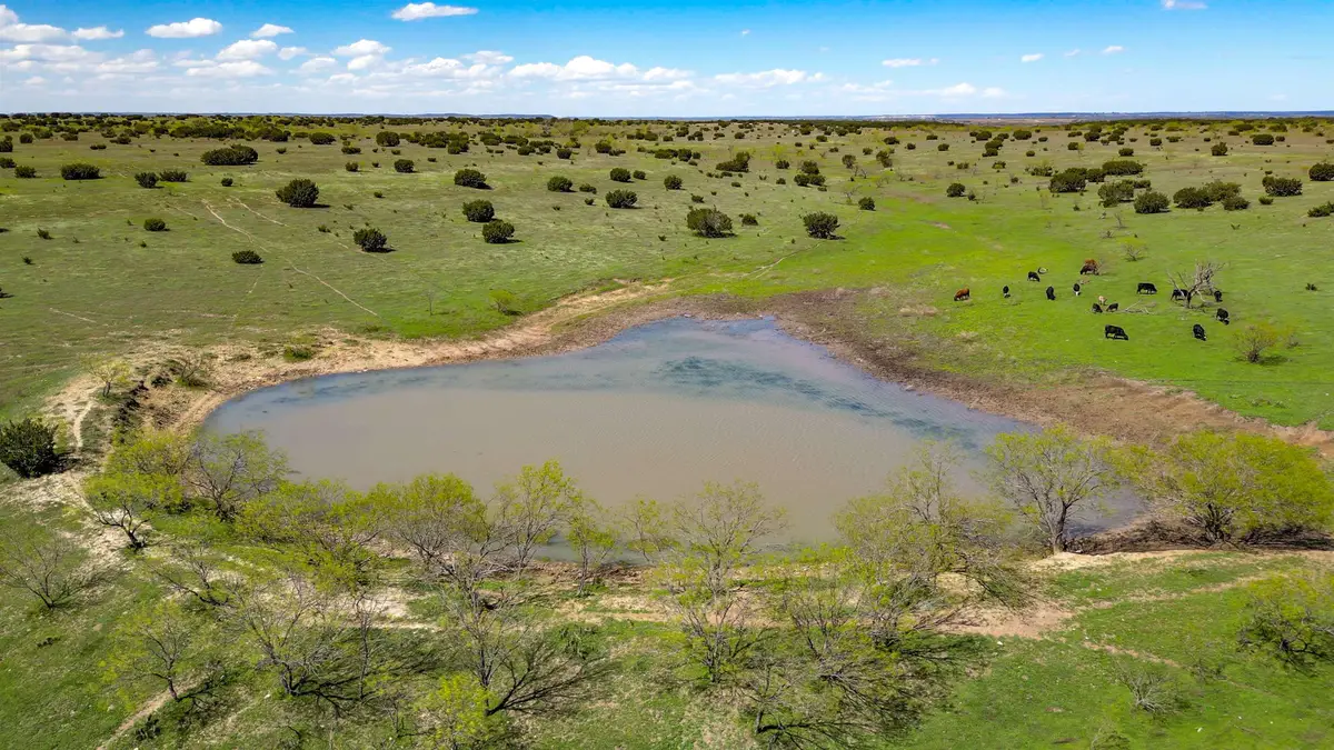 4121 County Road 2719, Adamsville, TX 76525 - #1