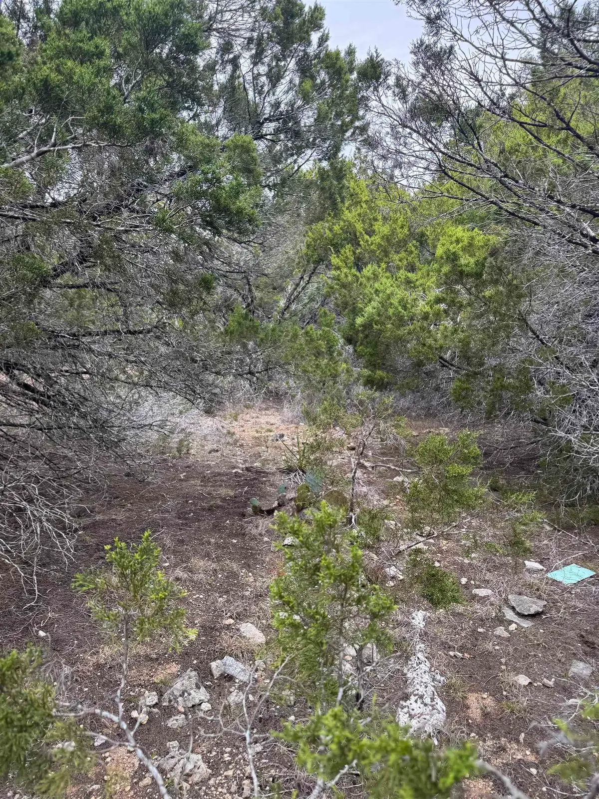 20204 Lewis Cove, Lago Vista, TX 78645 - Image #1