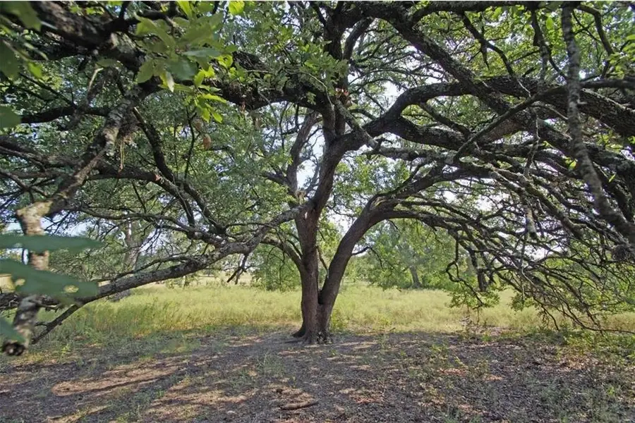 5341 County Road 236, Liberty Hill, TX 78642 - #3