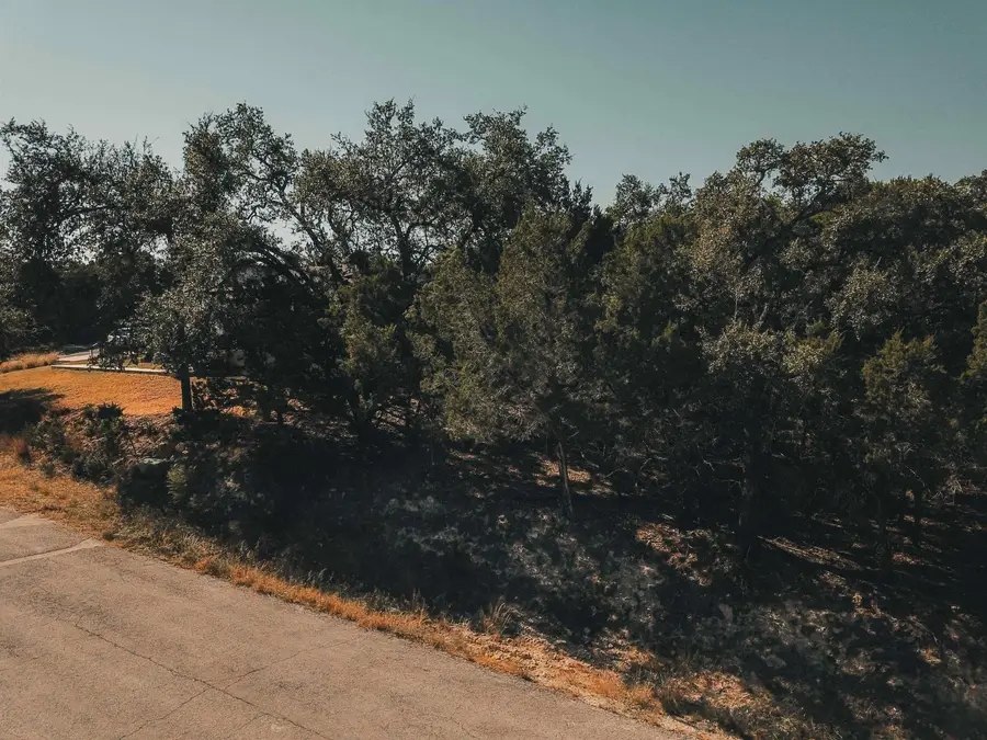 21703 Pope Drive, Leander, TX 78645 - Image #3