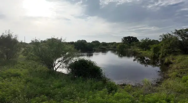 13495 Cr 204, Richland Springs, TX 76871