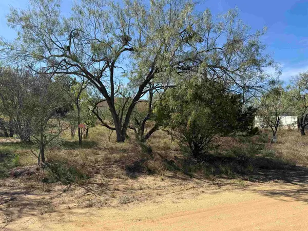 LOT 187 Longmont, Kingsland, TX 78639