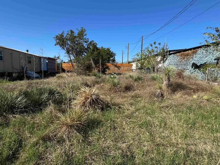 Lots 23 & 24 Gardenia St., Kingsland, TX 78639 - Image #2