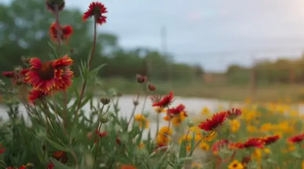 1722 W Farm To Market 574, Mullin, TX 76864