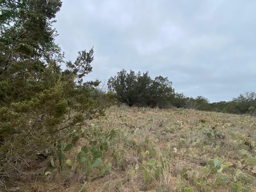 Lot 22 Cr 140, Burnet, TX 78611 - #2