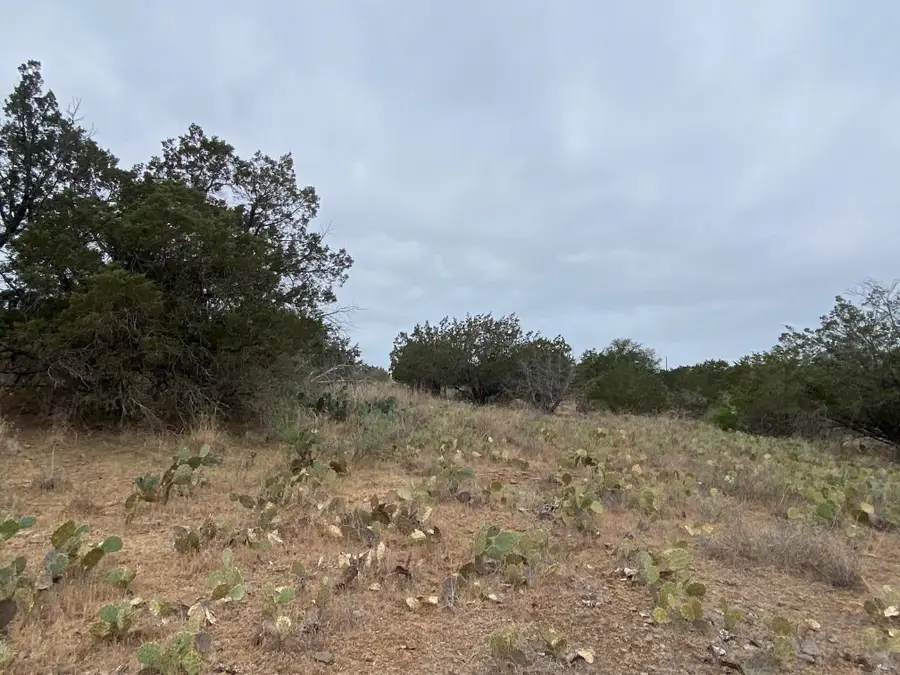 Lot 22 Cr 140, Burnet, TX 78611 - #3