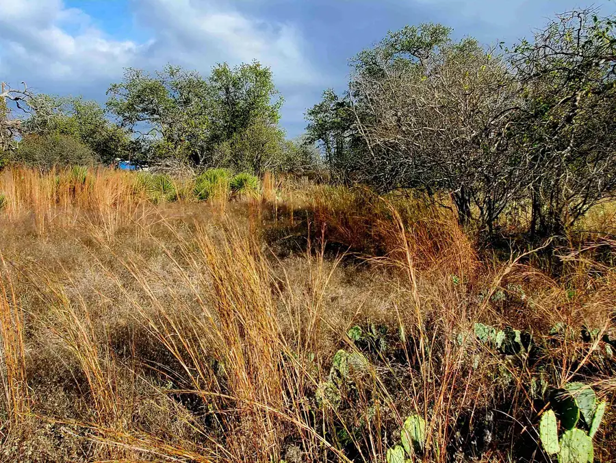 TBD Drake, Kingsland, TX 78639 - Image #2