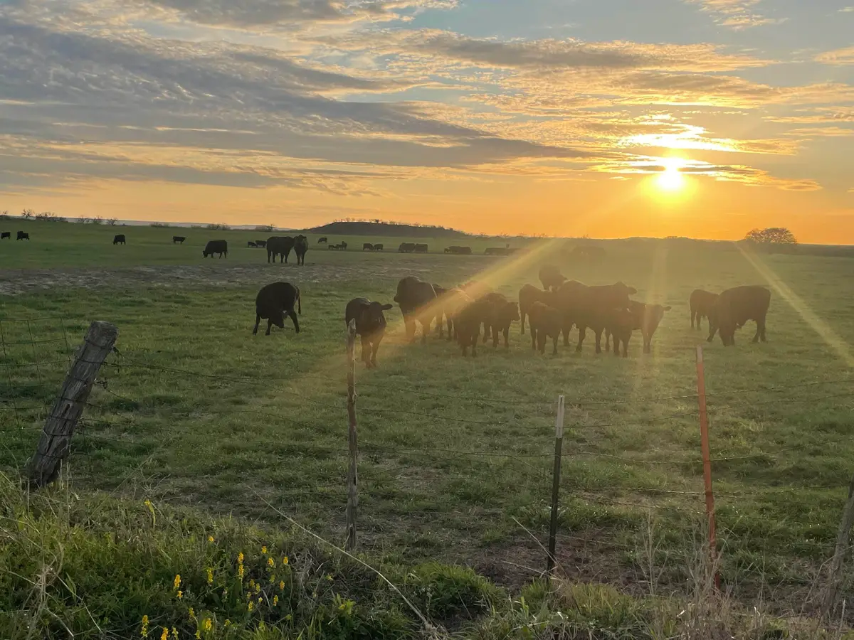 Cr 200, San Saba, TX 76877 - Image #1