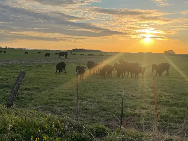 Cr 200, San Saba, TX 76877