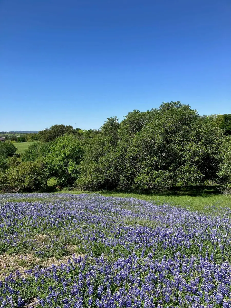 106 Ridgeway, Horseshoe Bay, TX 78657 - Image #3