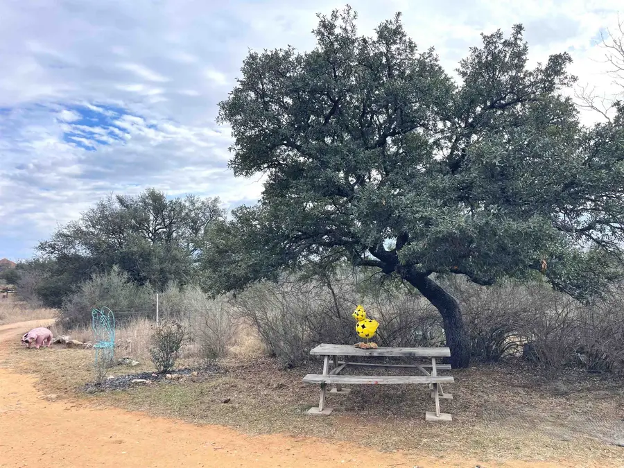323 Thurman Loop, Llano, TX 78643 - #3