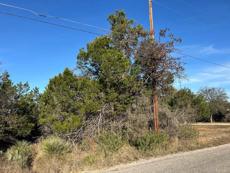 118 W Greenbriar, Granite Shoals, TX 78654 - Image #3