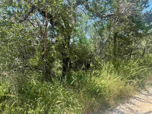 Lots 6 & 8 Solar, Burnet, TX 78611