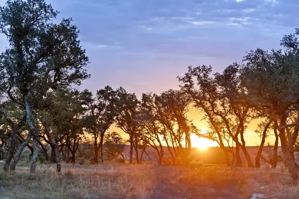 1422-33 Rm 2766, Johnson City, TX 78636