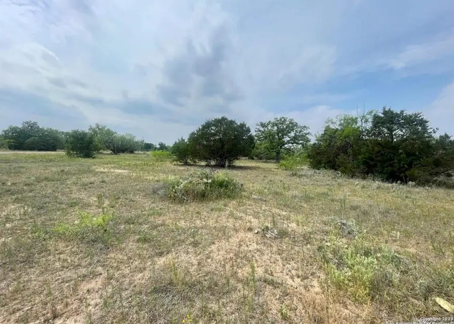 Oak Ridge Trl, Kingsland, TX 78639 - #2
