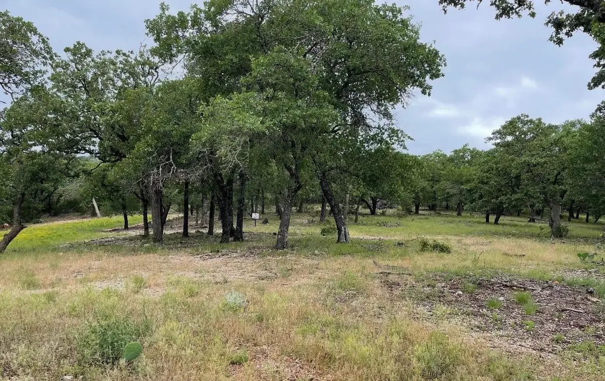 TBD Lot 7 Whitetail Trail, San Saba, TX 76877 - #1