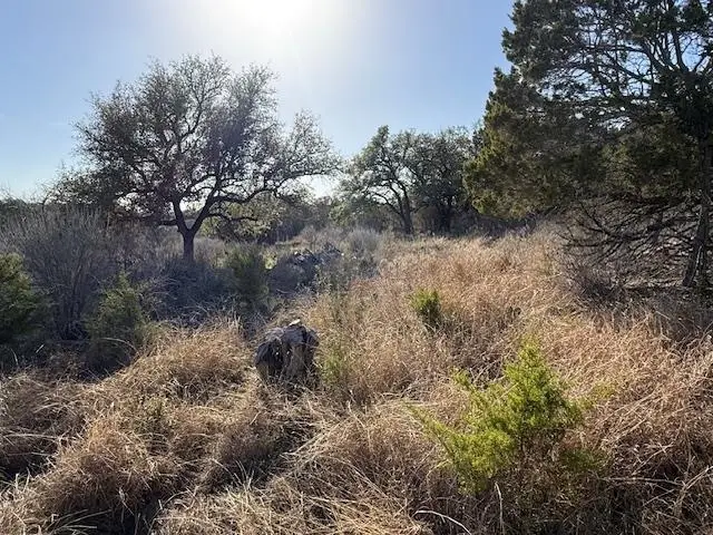 1306 Needles Eye, Horseshoe Bay, TX 78657 - #2