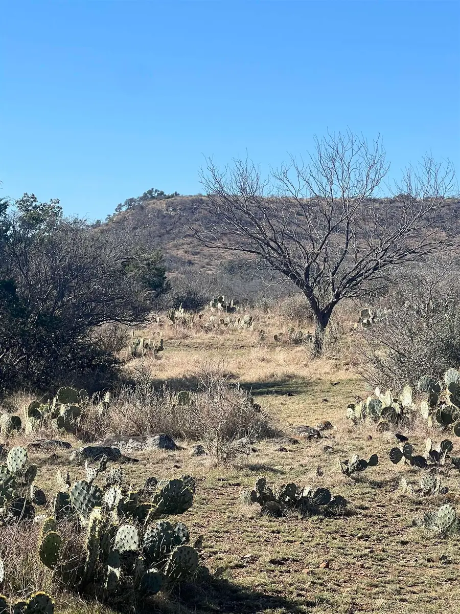307 Sagebiel Ranch Road, Fredericksburg, TX 78624-0000 - #3