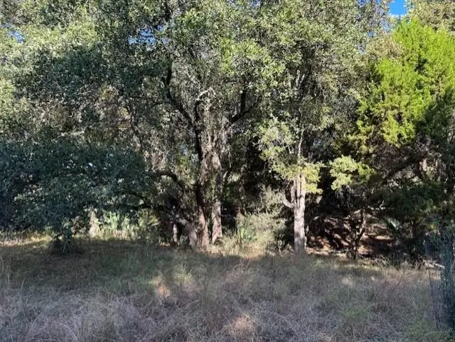 LT 8040 Brandywine, Horseshoe Bay, TX 78657 - #3