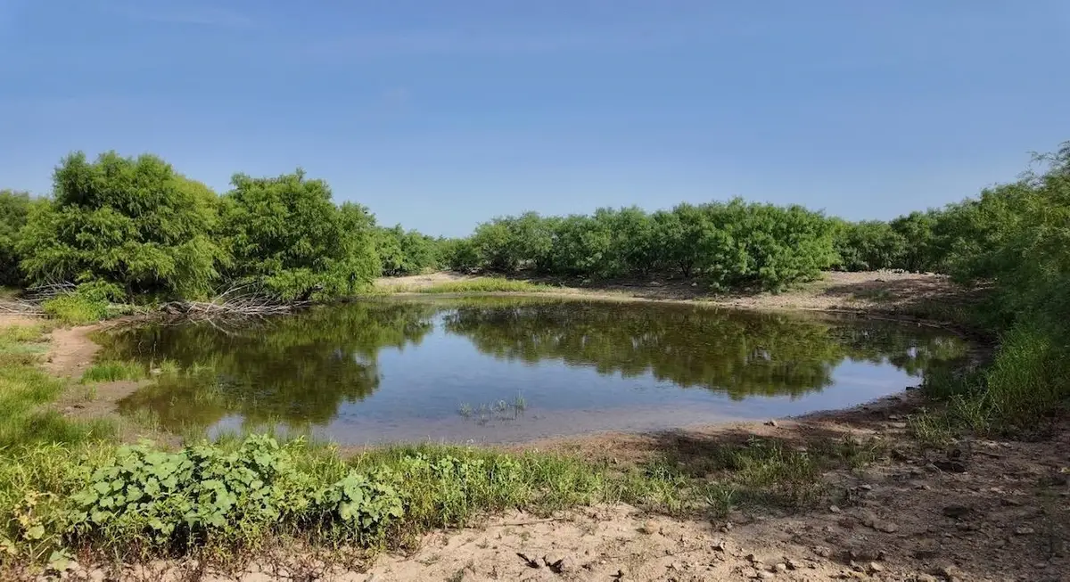 122 Pr 2562, Santa Anna, TX 76878 - #1