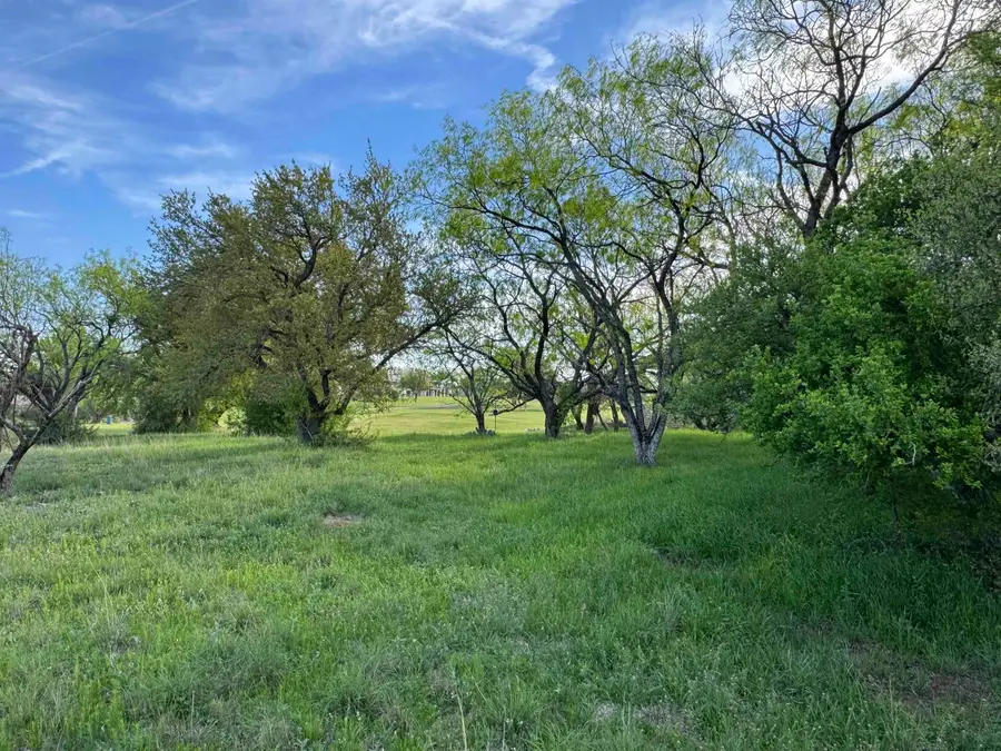 Lot 23020 Far West, Horseshoe Bay, TX 78657-0000 - #3