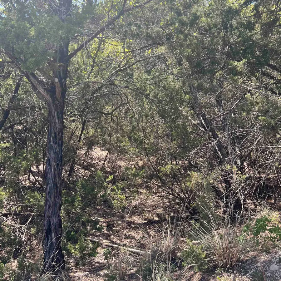 28524 Paradise Manor Drive, Marble Falls, TX 78654 - #2