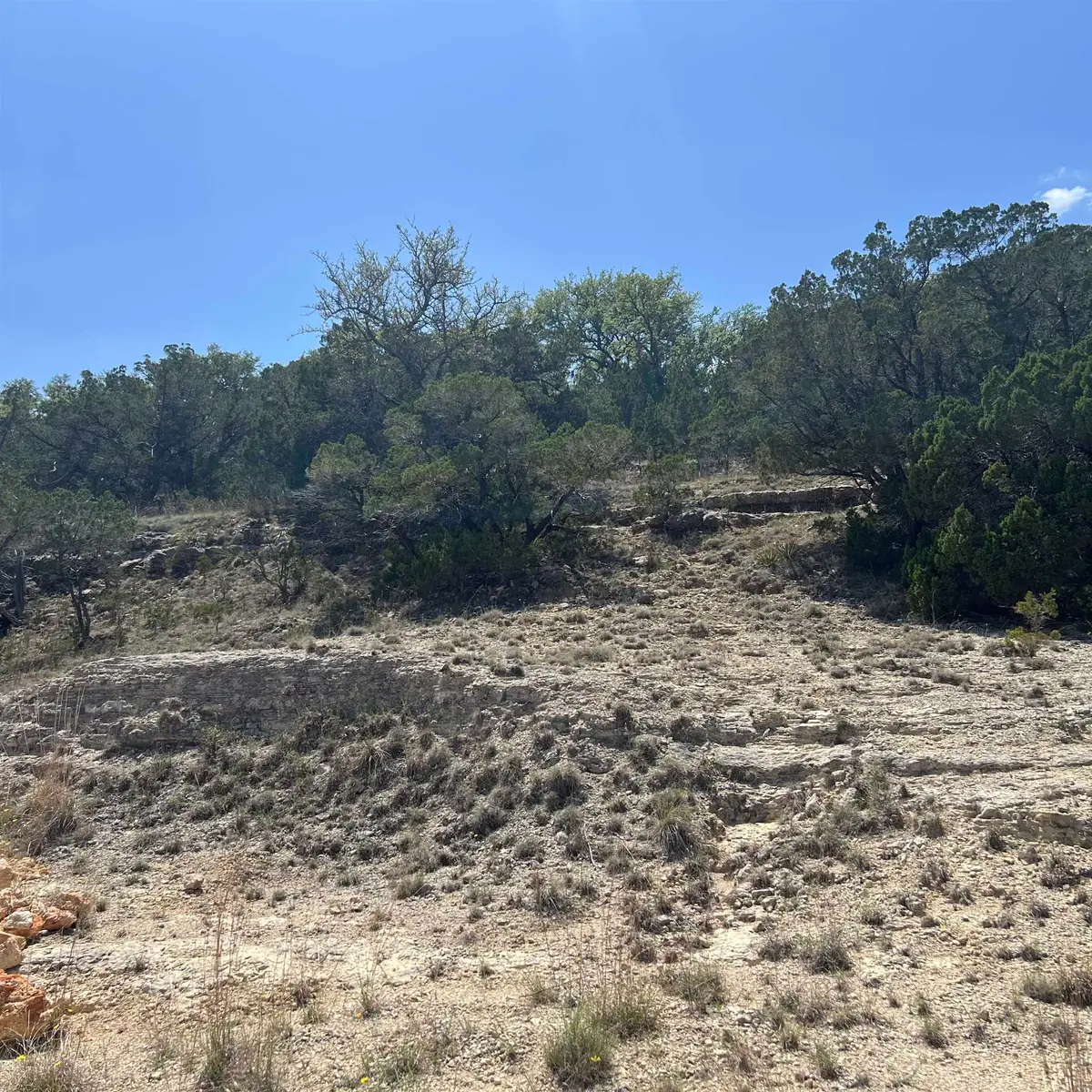 28530 Paradise Manor Drive, Marble Falls, TX 78654 - #1