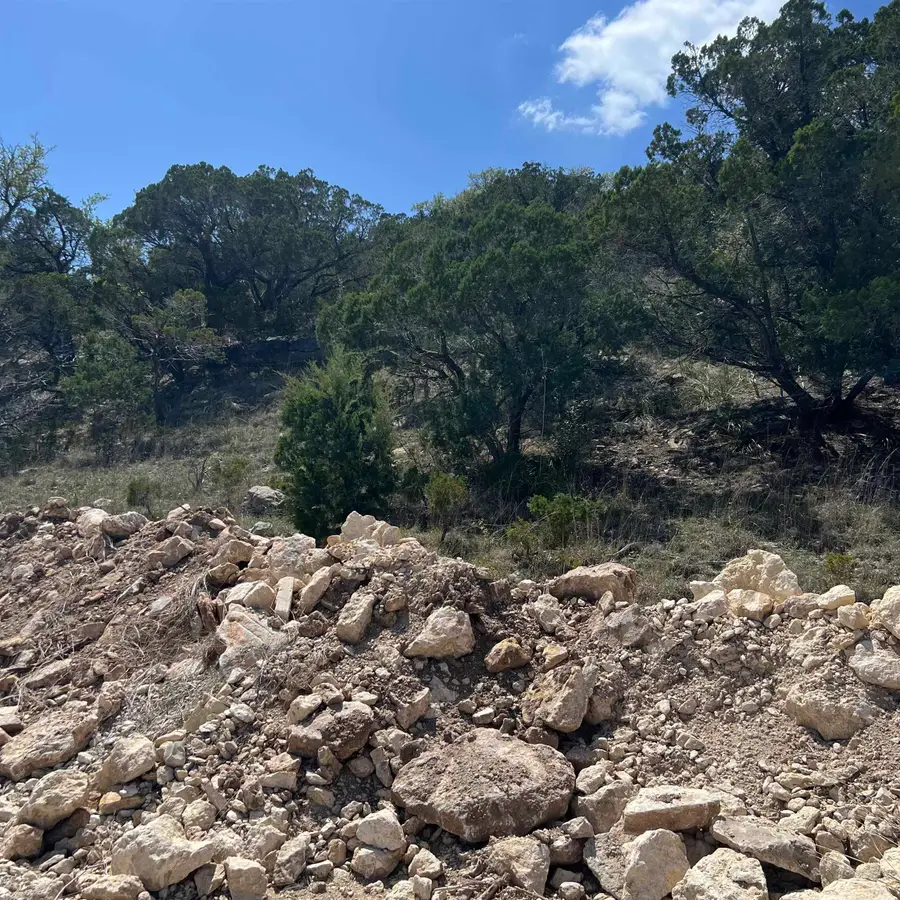 28540 Paradise Manor Drive, Marble Falls, TX 78654 - #3