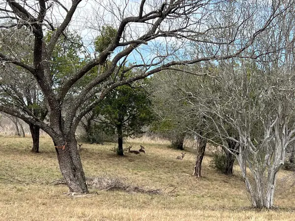 Duplex Lot 8002 Hi Circle West, Horseshoe Bay, TX 78657-0000