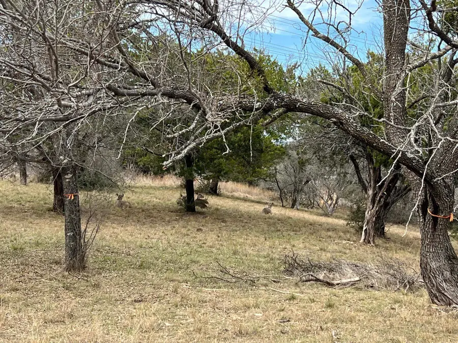 Duplex Lot 8002 Hi Circle West, Horseshoe Bay, TX 78657-0000 - #2