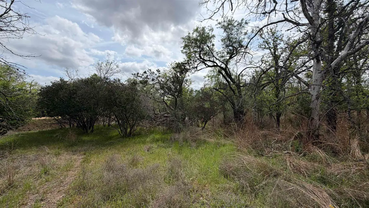 Lot 111 Ridgemont, Kingsland, TX 78639 - #1