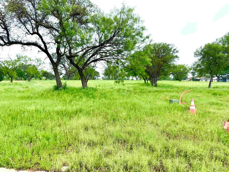 18 J Patriot Court, Kingsland, TX 78639 - #3