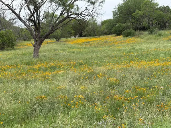 317 Sweetgrass, Horseshoe Bay, TX 78657