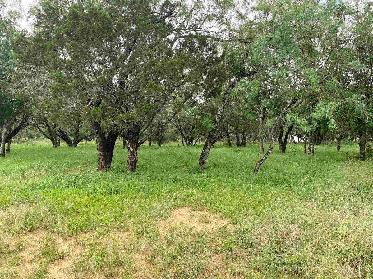 TBD Driftwood Lane, Cottonwood Shores, TX 78657 - #1